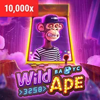 Cá cược có trách nhiệm Star Casino