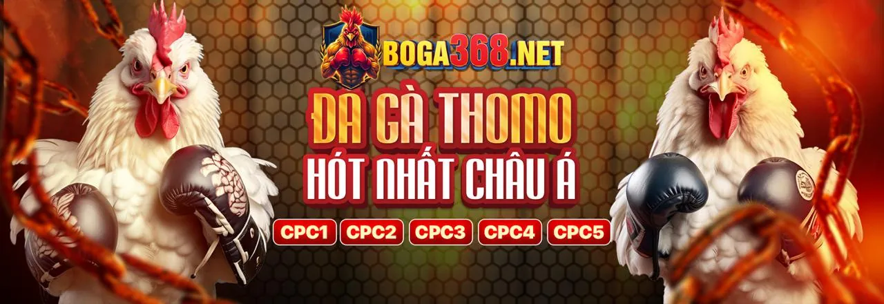 Hình ảnh giới thiệu star casino