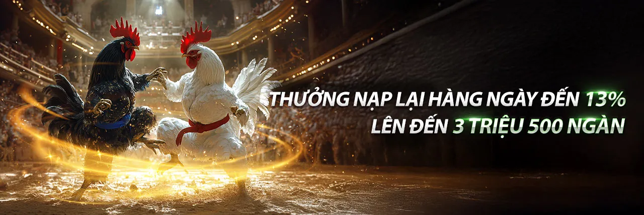 Banner kêu gọi hành động star casino